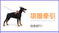 Arrival Pet Hemp Rope Cat Scratch Board Sisal Hemp Rope Accessories Protection Cat Grinding Claw Toy Scratching Material Arrival Pet Hemp Rope Cat Scratch Board Sisal Hemp Rope Accessories Protection Cat Grinding Claw Toy Scratching Material