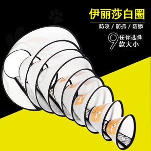 Factory In Stock Steel Wire Color Feather Cat Teaser Cat Toy Free Bell Cat Toy Pet Supplies Wholesale Factory In Stock Steel Wire Color Feather Cat Teaser Cat Toy Free Bell Cat Toy Pet Supplies Wholesale