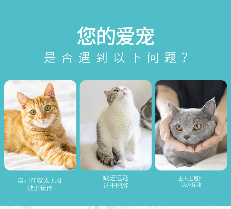 Factory Direct Sales Foldable Polyester Pet Passage Cat Tunnel Cat Five-Channel Pet Cat Dog Toy Factory Direct Sales Foldable Polyester Pet Passage Cat Tunnel Cat Five-Channel Pet Cat Dog Toy