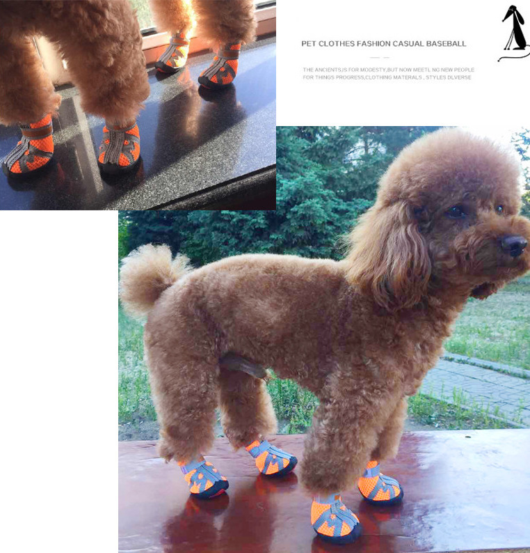 Rambo manufacturers direct pet shoes dog shoes small dog shoes are not easy to fall off non-skid outdoor shoes four seasons Rambo manufacturers direct pet shoes dog shoes small dog shoes are not easy to fall off non-skid outdoor shoes four seasons