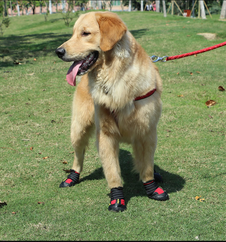 Cross - border special for pet shoes big dog waterproof rain snow shoes golden hair samoye husky German shepherd, manufacturers direct sales Cross - border special for pet shoes big dog waterproof rain snow shoes golden hair samoye husky German shepherd, manufacturers direct sales
