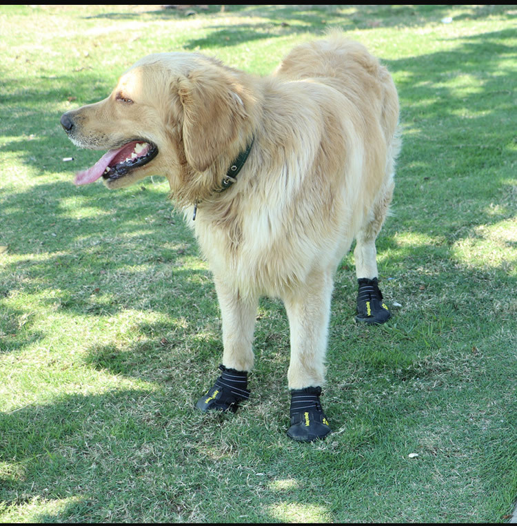 Cross - border special for pet shoes big dog waterproof rain snow shoes golden hair samoye husky German shepherd, manufacturers direct sales Cross - border special for pet shoes big dog waterproof rain snow shoes golden hair samoye husky German shepherd, manufacturers direct sales