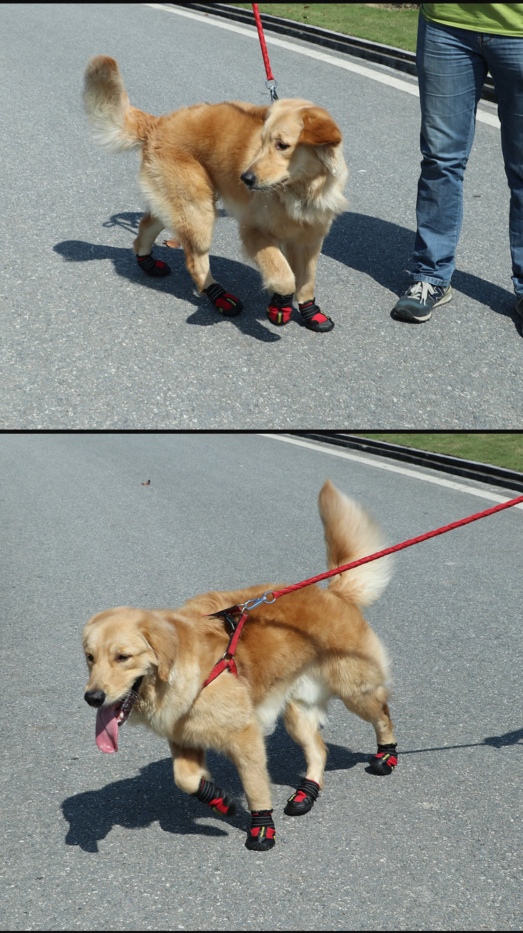 Cross - border special for pet shoes big dog waterproof rain snow shoes golden hair samoye husky German shepherd, manufacturers direct sales Cross - border special for pet shoes big dog waterproof rain snow shoes golden hair samoye husky German shepherd, manufacturers direct sales