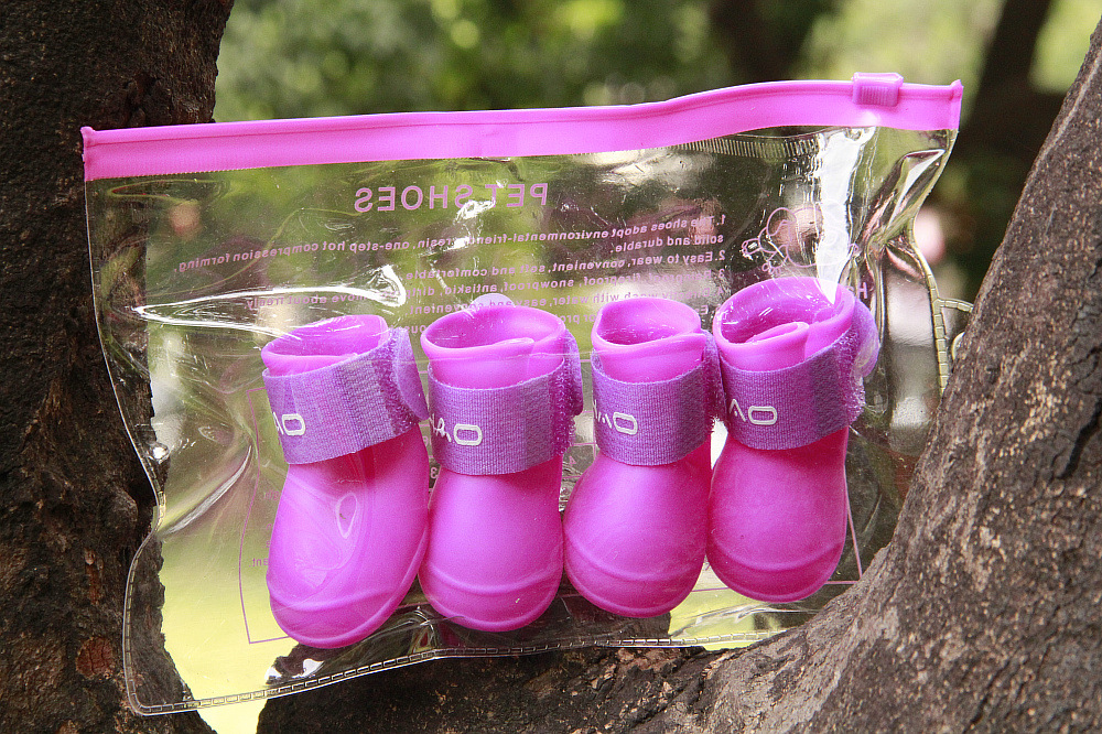 Explosive Product Special Pet Supplies Pet Shoes Non-Slip Pet Boots Dog Cat Shoes Very Good Brand Explosive Product Special Pet Supplies Pet Shoes Non-Slip Pet Boots Dog Cat Shoes Very Good Brand