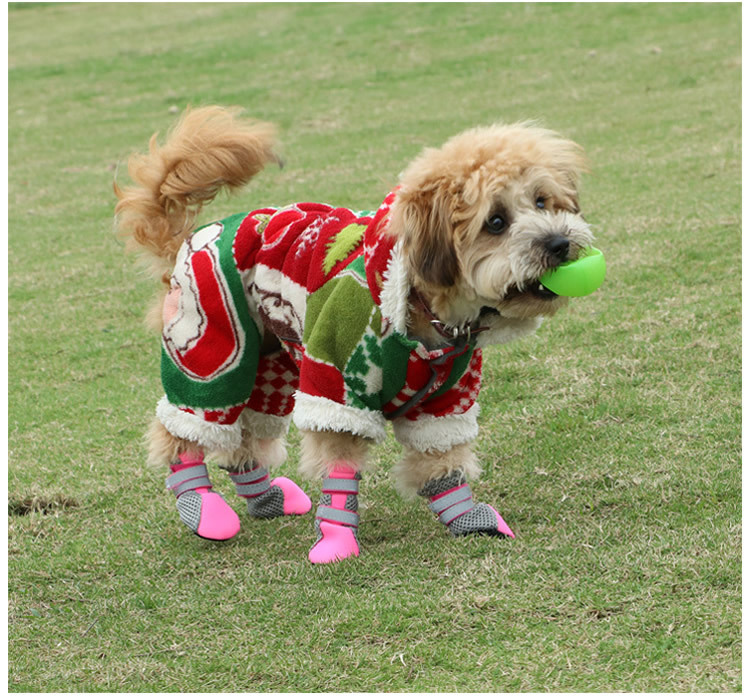 Lambeau pet shoes new summer manufacturers supply mesh shoes breathable leisure hot dog shoes small and medium-sized dogs