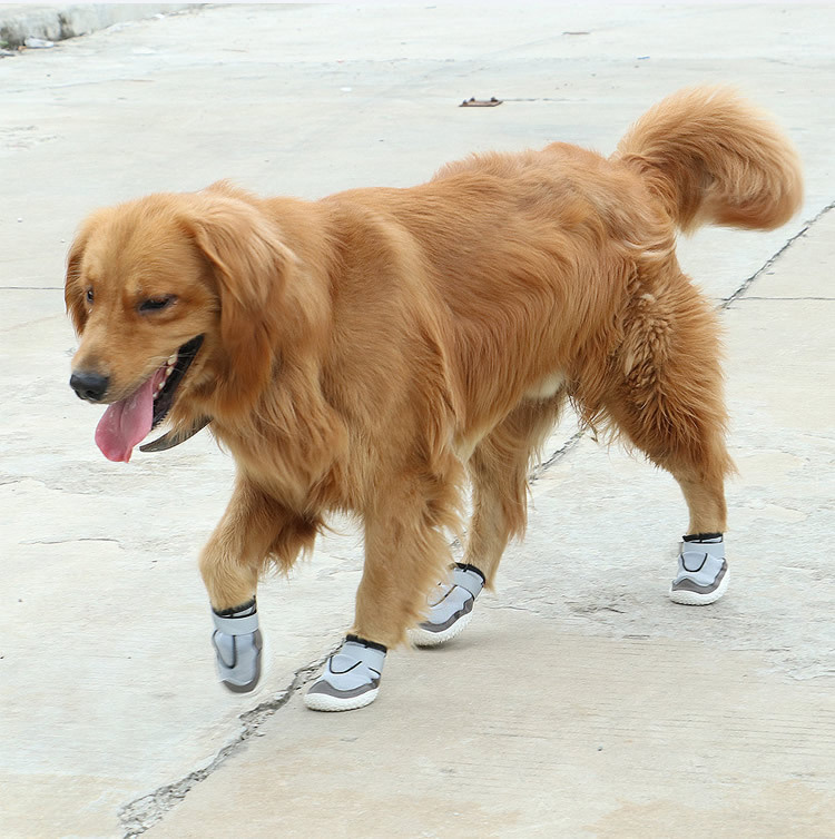 2019 new pet shoes wearables and breathable big dog shoes sold by amazon in Europe and America 2019 new pet shoes wearables and breathable big dog shoes sold by amazon in Europe and America