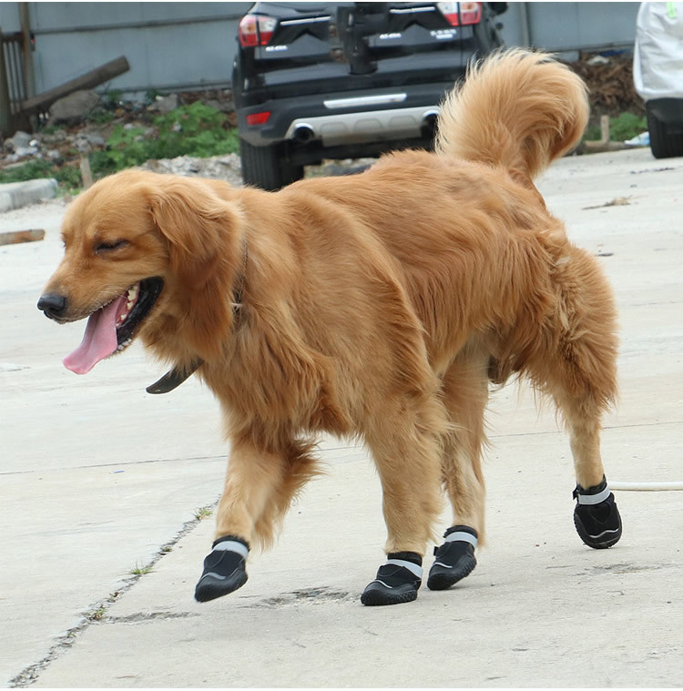 2019 new pet shoes wearables and breathable big dog shoes sold by amazon in Europe and America 2019 new pet shoes wearables and breathable big dog shoes sold by amazon in Europe and America