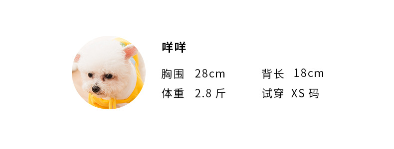 New Dog Clothes Autumn Winter Sweater Teddy Bear Small and Medium-Sized Dogs Puppy Cat Hooded Autumn Pet Clothing