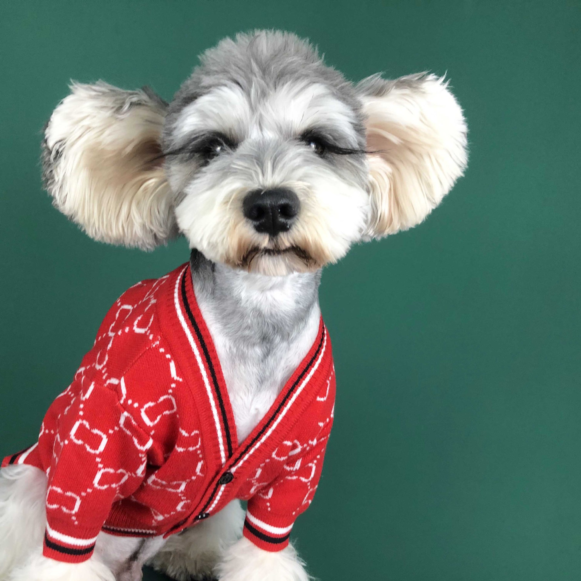 Dog Clothes Autumn Chenery Fadou Teddy Bago Cat Sweater Keji Spring Pet Clothes