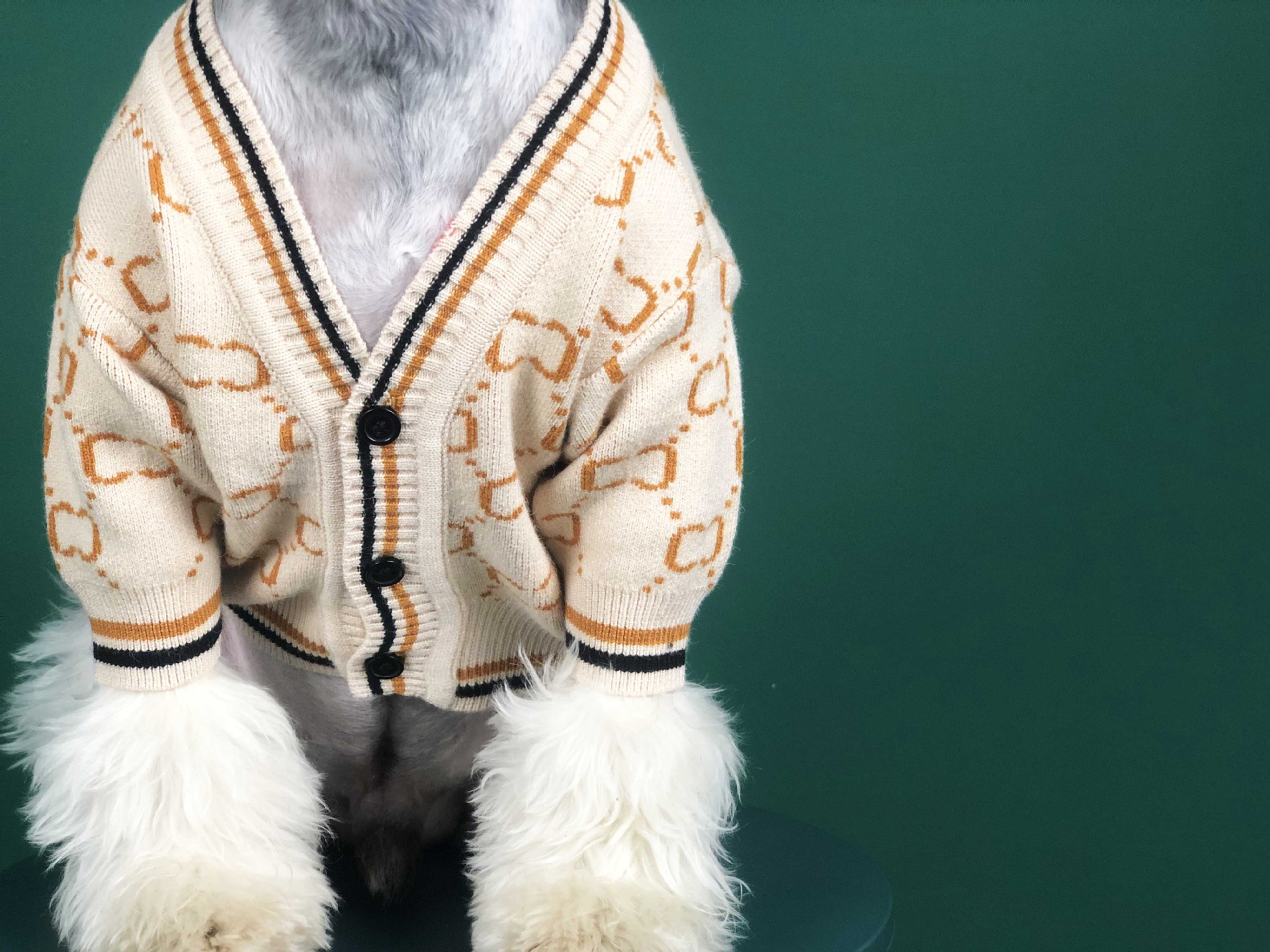 Dog Clothes Autumn Chenery Fadou Teddy Bago Cat Sweater Keji Spring Pet Clothes