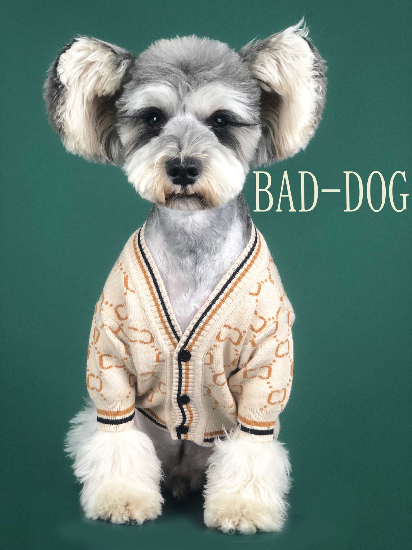 Dog Clothes Autumn Chenery Fadou Teddy Bago Cat Sweater Keji Spring Pet Clothes
