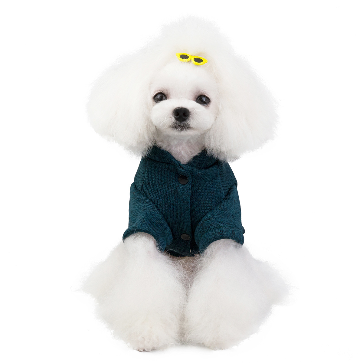 Pet Kitty Dog Clothes Clothing Supplies Teddy Autumn and Winter New Products in Stock Wholesale 19 Hat with Glasses Sweater
