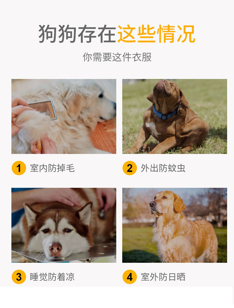 Big Dog Vest Spring and Summer Thin Breathable Golden Hair Samo Pet Two-legged T-shirt Sweater Medium Large Dog Clothes
