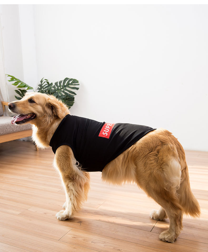 Big Dog Vest Spring and Summer Thin Breathable Golden Hair Samo Pet Two-legged T-shirt Sweater Medium Large Dog Clothes