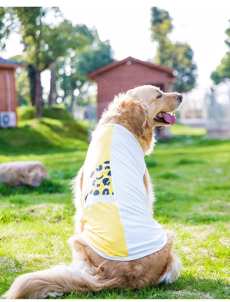Big Dog Vest Spring and Summer Thin Breathable Golden Hair Samo Pet Two-legged T-shirt Sweater Medium Large Dog Clothes