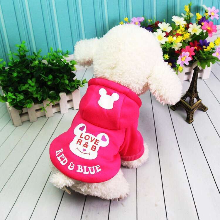 Pet Autumn and Winter Clothing Dog Hooded Sweater Dog Clothes Dog with Coat and Cap Bingui Teddy Dog Clothing