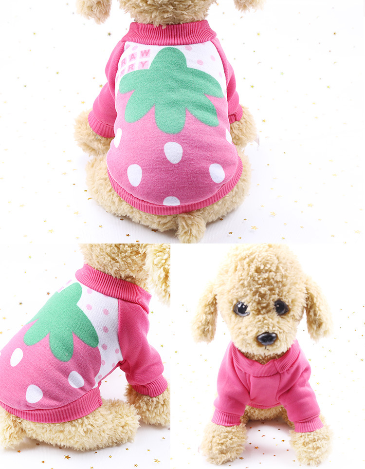 New Dog Clothes Spring and Autumn Winter Teddy Pet Supplies Cartoon Cute Cat Sweater Golden Retriever Big Dog Clothing