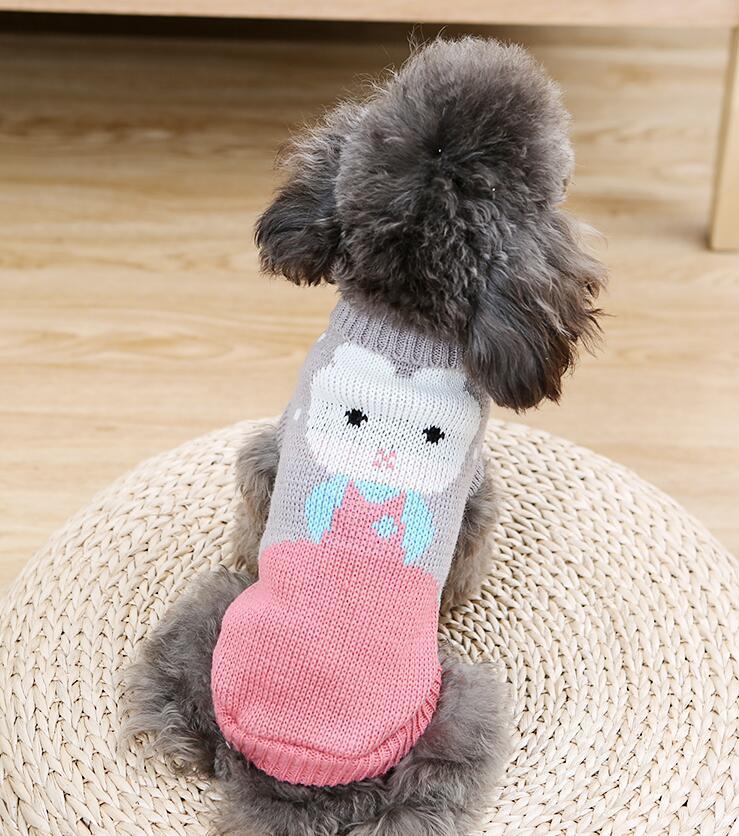 Pet Clothes Dog Sweater Autumn and Winter New Two-Legged Pet Clothes Warm Small Sweater Cat Dog Clothes