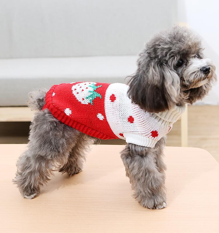 Pet Clothes Dog Sweater Autumn and Winter New Two-Legged Pet Clothes Warm Small Sweater Cat Dog Clothes