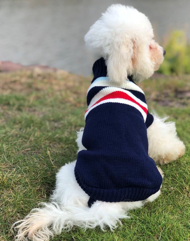 Pet Clothes Dog Sweater Autumn and Winter New Two-Legged Pet Clothes Warm Small Sweater Cat Dog Clothes