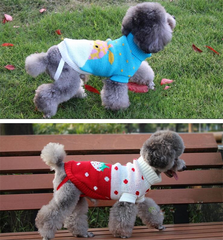 Pet Clothes Dog Sweater Autumn and Winter New Two-Legged Pet Clothes Warm Small Sweater Cat Dog Clothes