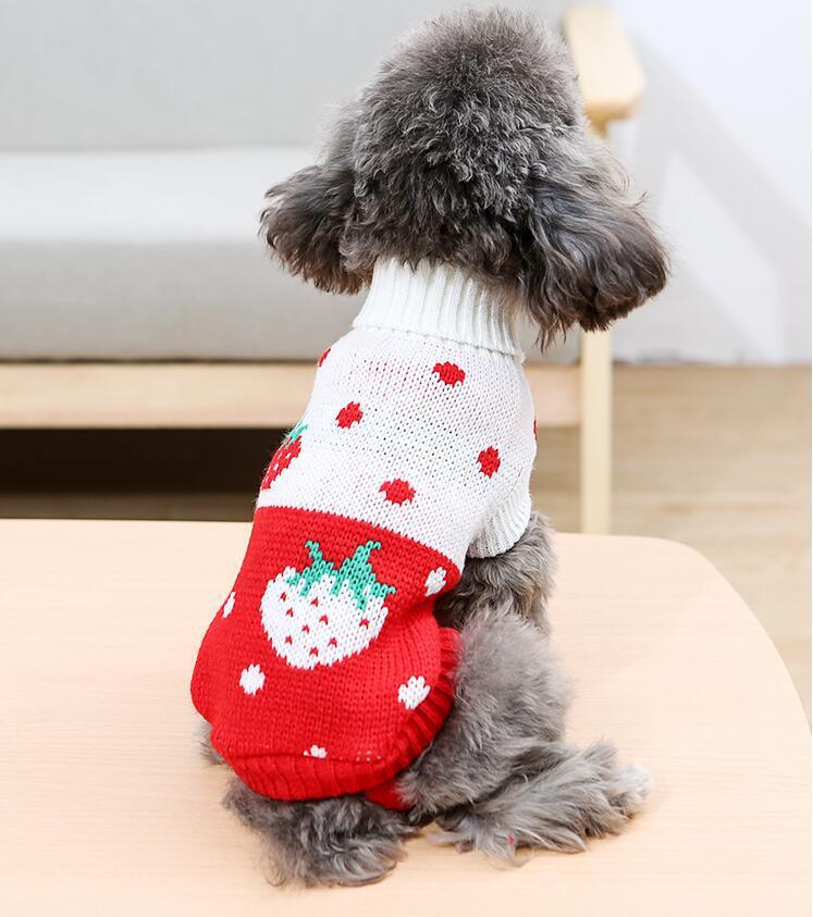 Pet Clothes Dog Sweater Autumn and Winter New Two-Legged Pet Clothes Warm Small Sweater Cat Dog Clothes