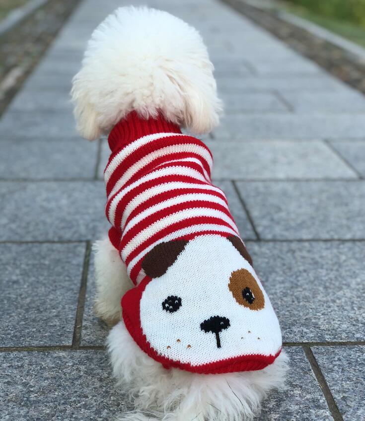Pet Clothes Dog Sweater Autumn and Winter New Two-Legged Pet Clothes Warm Small Sweater Cat Dog Clothes