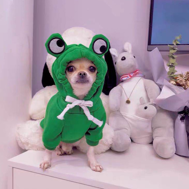 Fruit Transformation Dog Cat Small Medium Large Dog Autumn Winter Sweater Fleece Clothing Supplies Pet Teddy Jarre Aero Bull