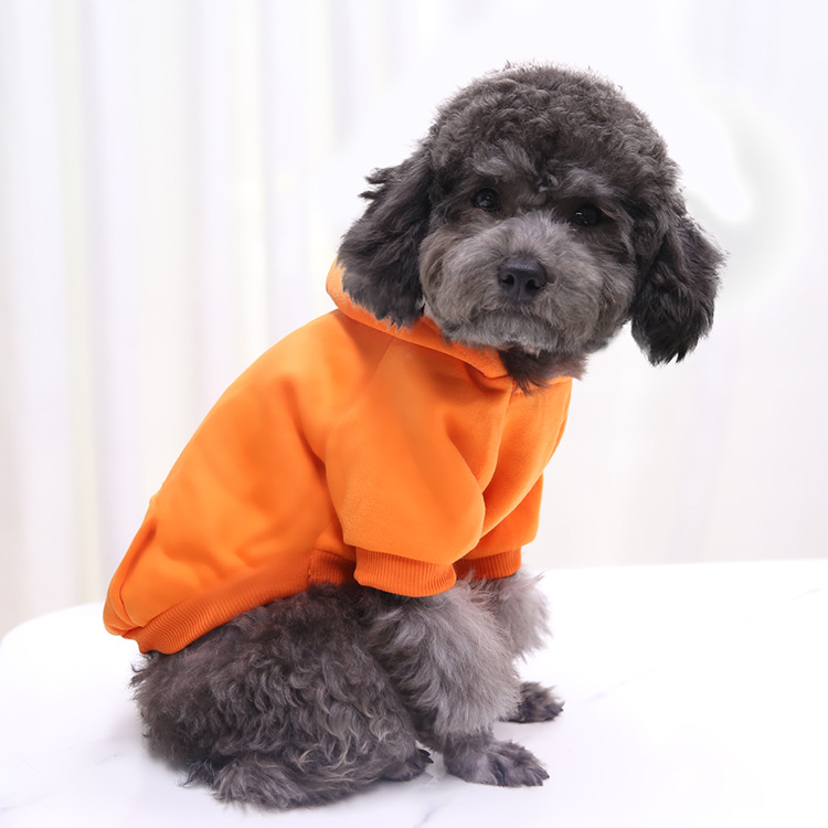 Autumn and Winter Sweater Denim Pocket Two-legged Clothes Sporty Pet Clothes Dog Cat Clothes Pet Supplies