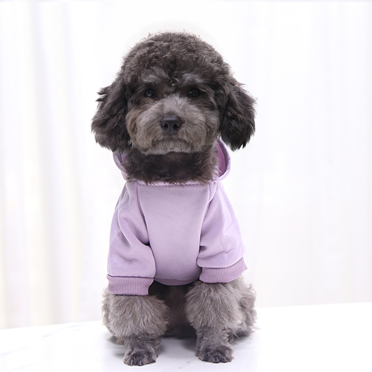 Autumn and Winter Sweater Denim Pocket Two-legged Clothes Sporty Pet Clothes Dog Cat Clothes Pet Supplies