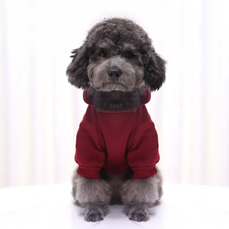 Autumn and Winter Sweater Denim Pocket Two-legged Clothes Sporty Pet Clothes Dog Cat Clothes Pet Supplies