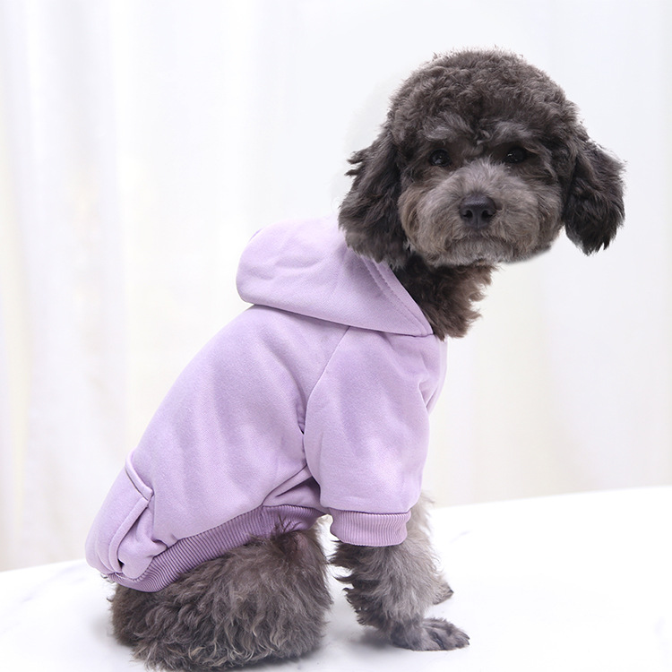 Autumn and Winter Sweater Denim Pocket Two-legged Clothes Sporty Pet Clothes Dog Cat Clothes Pet Supplies