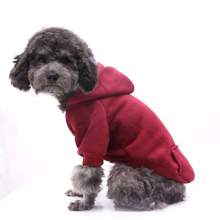 Autumn and Winter Sweater Denim Pocket Two-legged Clothes Sporty Pet Clothes Dog Cat Clothes Pet Supplies