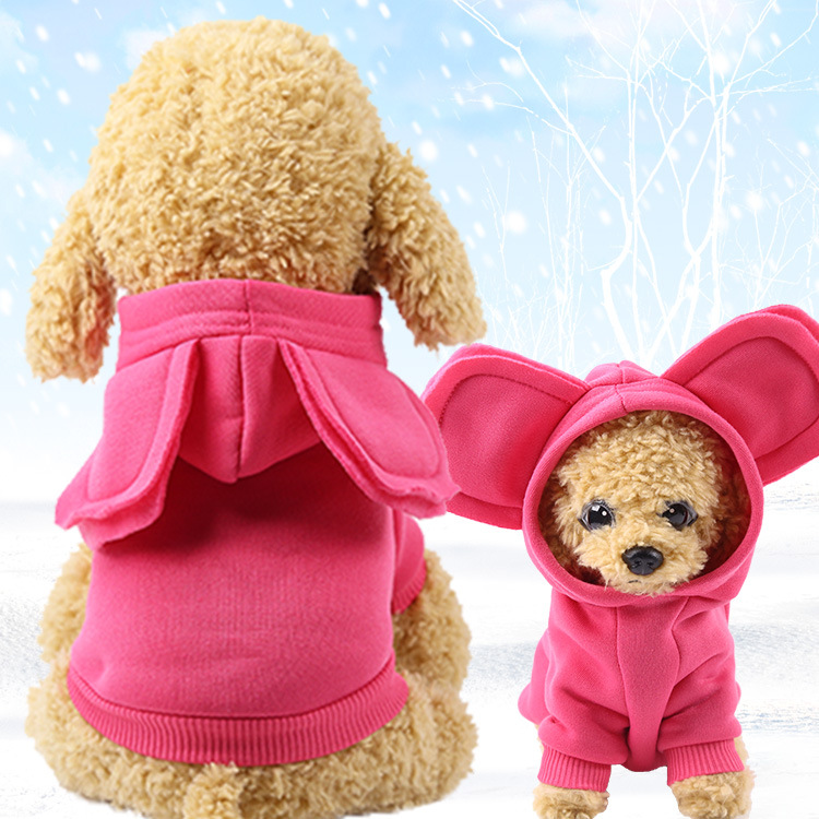 Autumn and Winter Sweater Pocket Two-legged Clothes Sporty Pet Clothes Dog Cat Clothes Pet Supplies