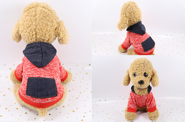 Autumn and Winter Sweater Pocket Two-legged Clothes Sporty Pet Clothes Dog Cat Clothes Pet Supplies