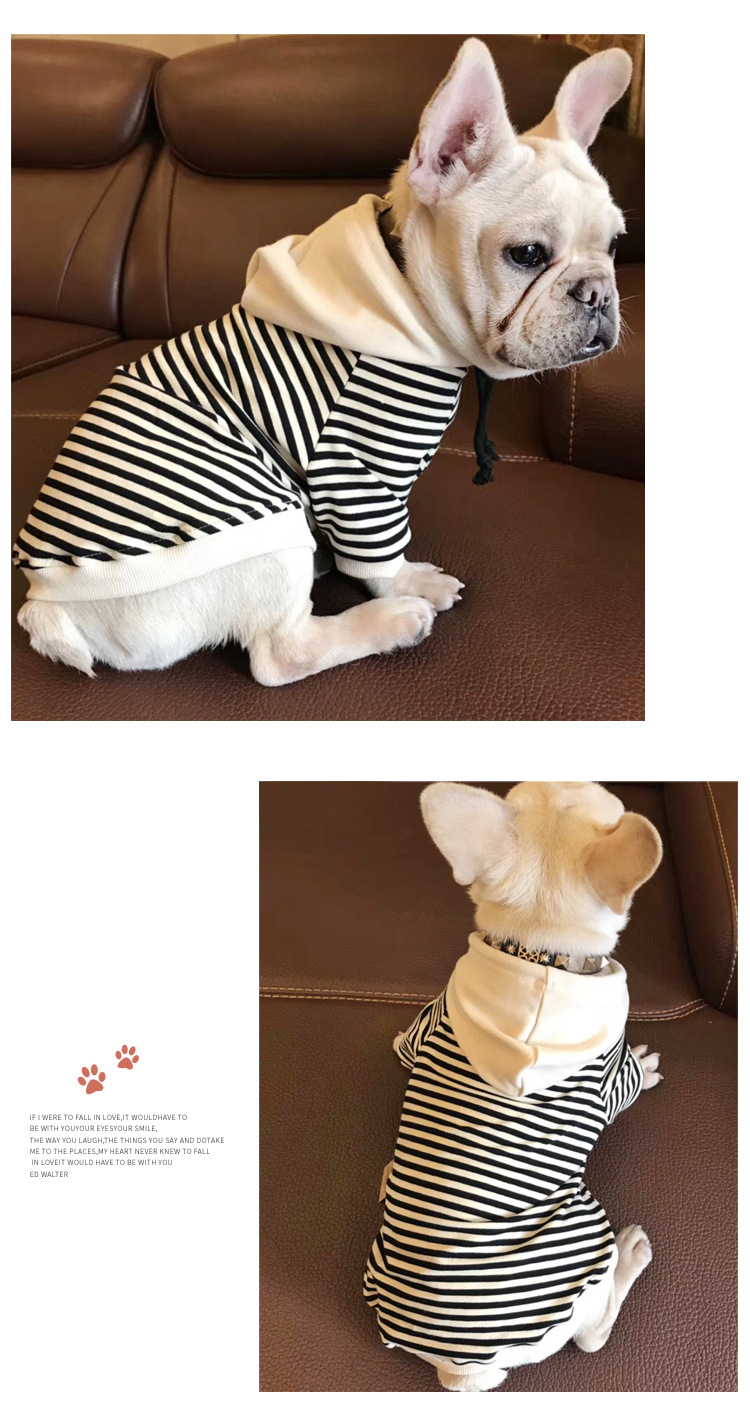 2020 Spring New Dog Terry Sweater Teddy Small Dog Fashion Brand Clothes Adult Pet Casual Parent-Child Clothes