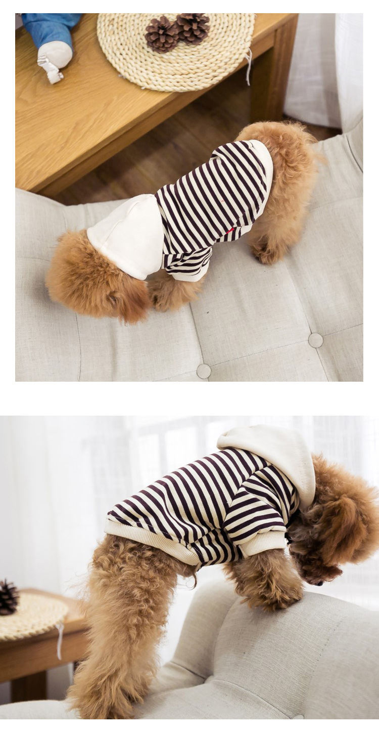2020 Spring New Dog Terry Sweater Teddy Small Dog Fashion Brand Clothes Adult Pet Casual Parent-Child Clothes