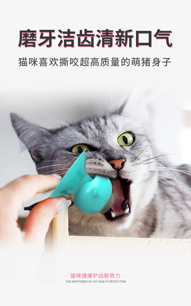 Pet Supplies Amazon Hot Sale Hot Sale Sucker Catnip Toy Toothbrush Molar Funny Cat Toy