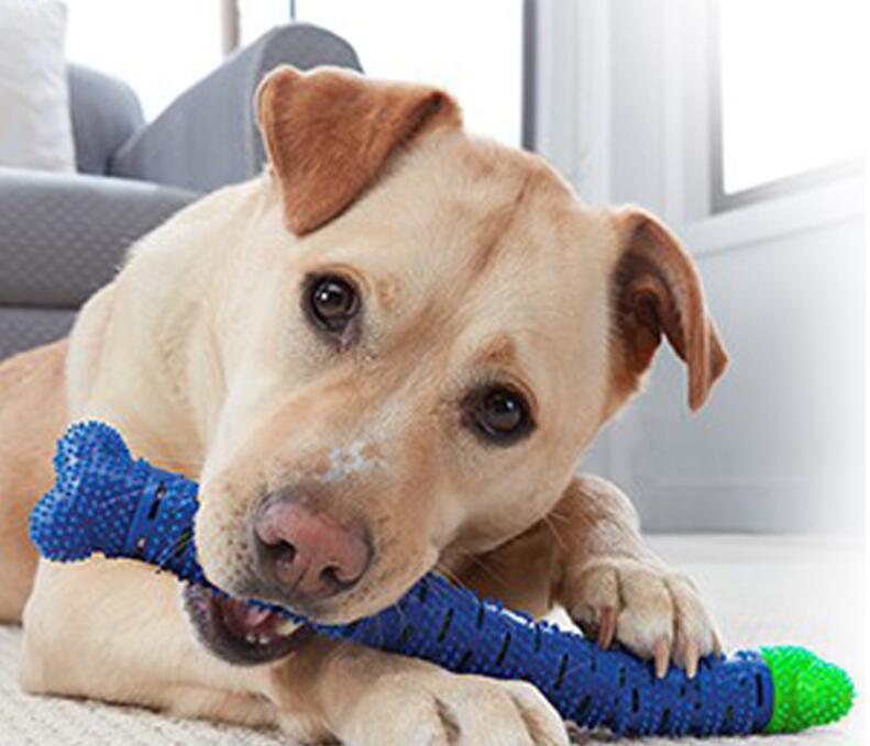 CHEWBRUSH, pet automatic toothbrush, tooth grinding stick, pet tooth grinding toy CHEWBRUSH, pet automatic toothbrush, tooth grinding stick, pet tooth grinding toy