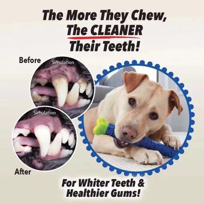 CHEWBRUSH, pet automatic toothbrush, tooth grinding stick, pet tooth grinding toy CHEWBRUSH, pet automatic toothbrush, tooth grinding stick, pet tooth grinding toy