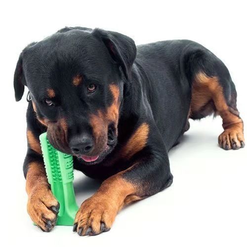 Pet dog toothbrush Bristly dog toothbrush oral teeth teeth clean molar rod rod Pet dog toothbrush Bristly dog toothbrush oral teeth teeth clean molar rod rod