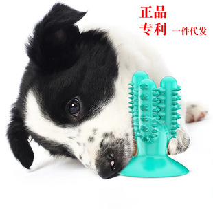 Dog Molar Rod Dog Toothbrush Rubber Toothbrush Bite Toy Tooth Cleaning Pet Supplies