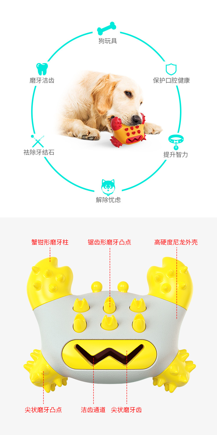 Pet Supplies Factory Home New Hot Amazon Cross-Border Dog Toy Toothbrush Dog Frisbee Molar Rod Food Dropping Ball