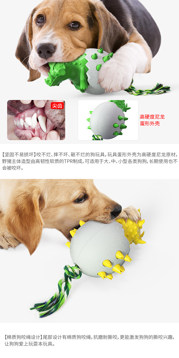 Pet Supplies Factory Home New Hot Amazon Cross-Border Dog Toy Toothbrush Dog Frisbee Molar Rod Food Dropping Ball