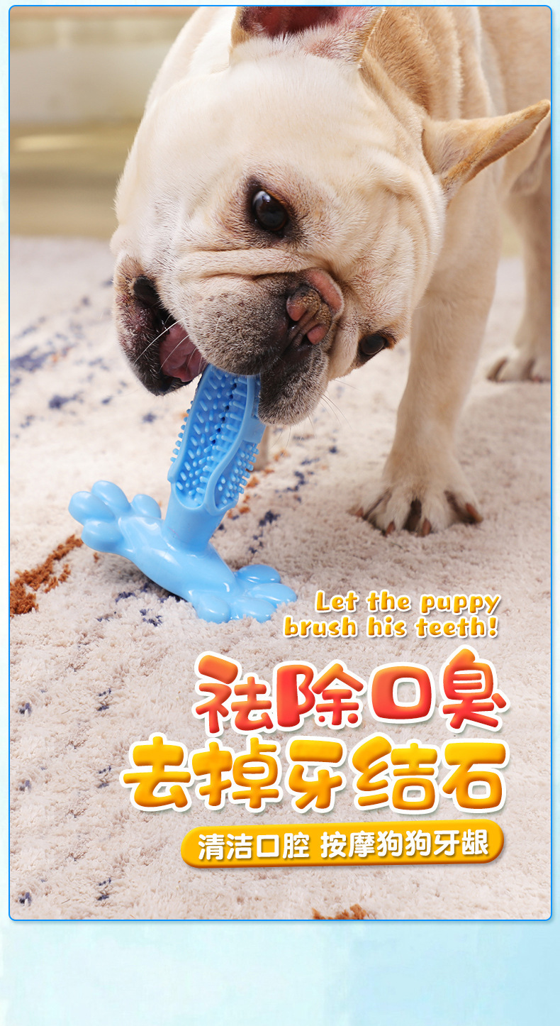 Amazon Hot Dog Toothbrush Dog Molar Rod Pet Supplies Rubber Toothbrush Bite Toy Amazon Hot Dog Toothbrush Dog Molar Rod Pet Supplies Rubber Toothbrush Bite Toy