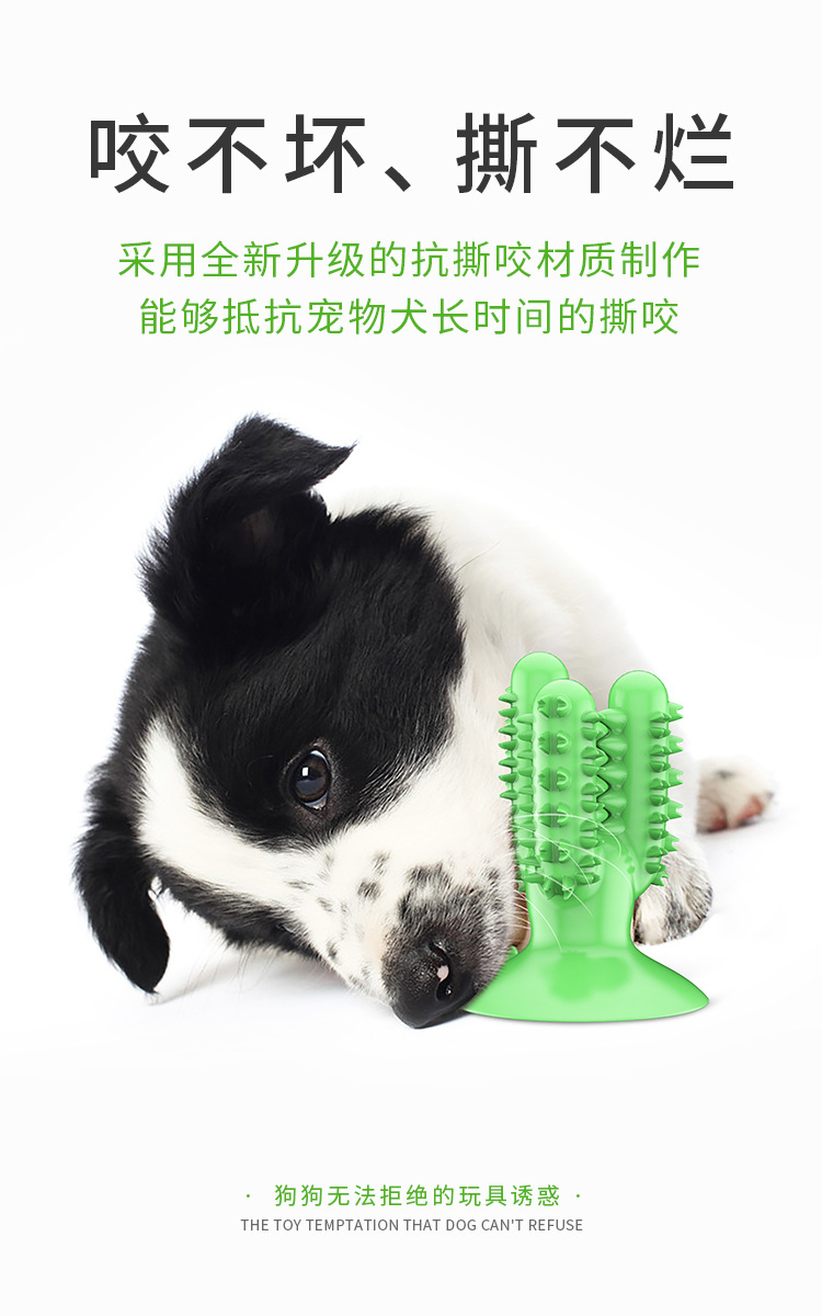Pet Supplies Amazon New Dog Toothbrush Dog Molar Tooth Cleaning Stick Leakage Food Feeder Bite-Resistant Dog Interactive Toy