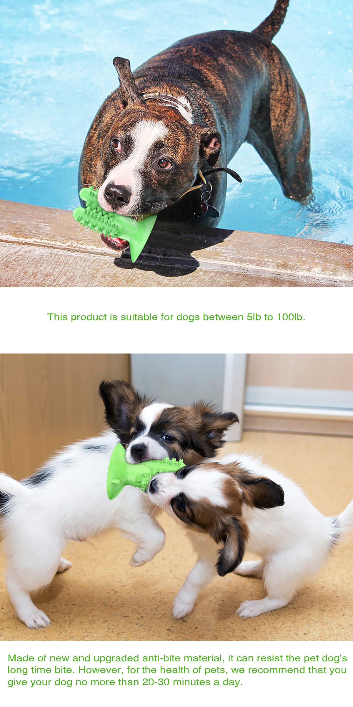 Pet Supplies Amazon New Dog Toothbrush Dog Molar Tooth Cleaning Stick Leakage Food Feeder Bite-Resistant Dog Interactive Toy