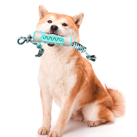 Amazon &#039;s new TPR pet toothbrush for dogs with a gnawing the clean ipads molars