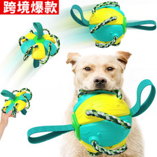 Pet Supplies Factory Wholesale Company New Popular Amazon Molar Long Throws Ring Dog Toy Toothbrush