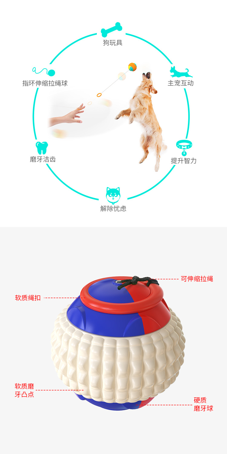 Pet Supplies Factory Wholesale Company New Popular Amazon Molar Long Throws Ring Dog Toy Toothbrush